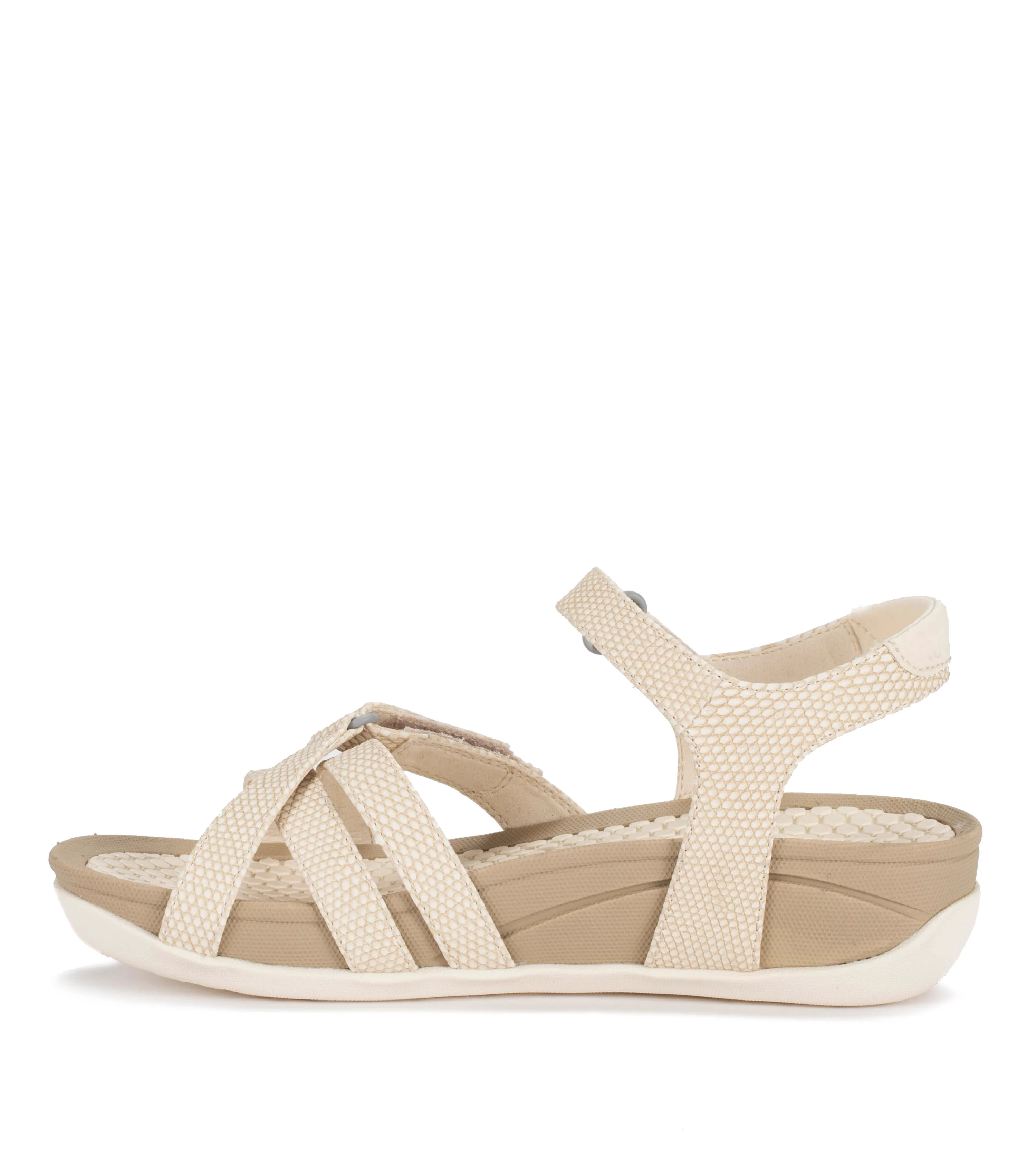 Baretraps DANNY - Image 5